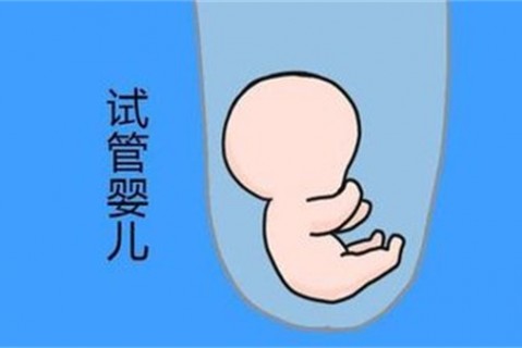 http://shenzhen.vdtfzz.com/post/194.html|深圳新闻中心